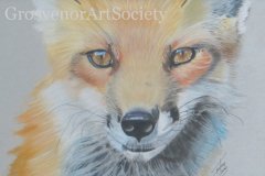 'Foxxy' by James Lautenschlager - pastel pencil (mounted to 16" x 12")