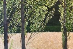 'Three Trees' by H Postlethwaite - oil (16" x 20")
